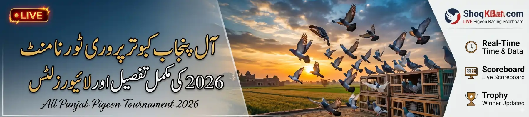 All Punjab Pigeon Tournament 2026 Live Results & Time